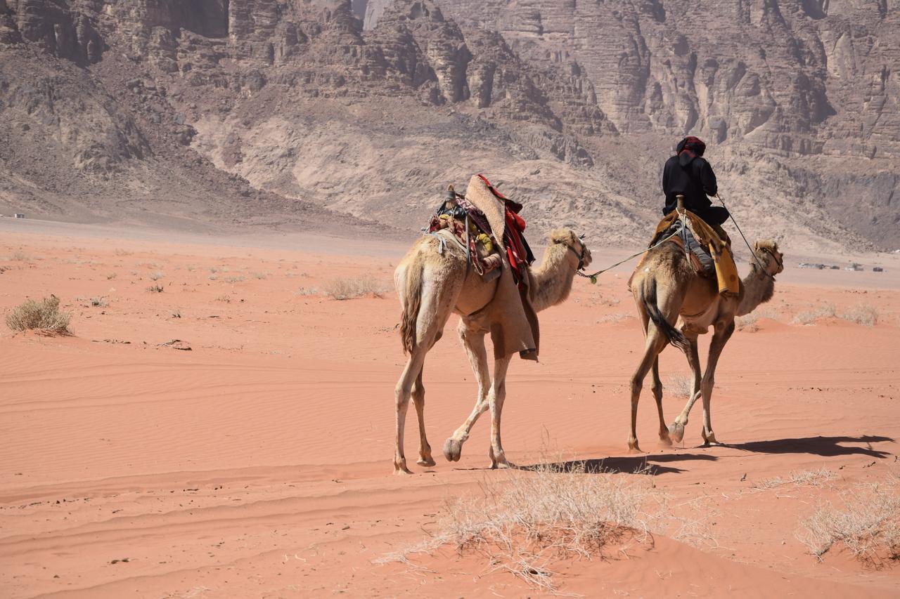 Wadi Candles Camp * Wadi Rum